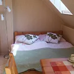 Anastazja Проживание в семье Мендзыводзе