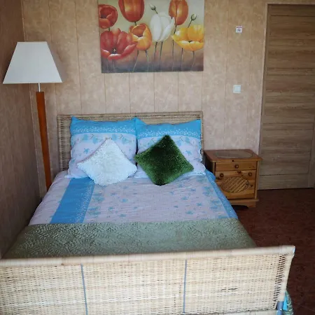 Anastazja ミエンジボジェ