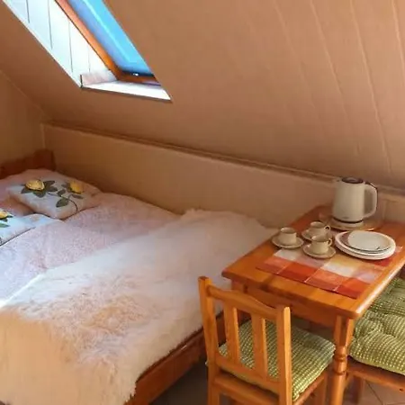 ホームステイ Anastazja ミエンジボジェ